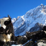 Everest Base Camp Trek via Jiri