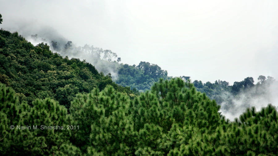 Highland forest Godavari nepal