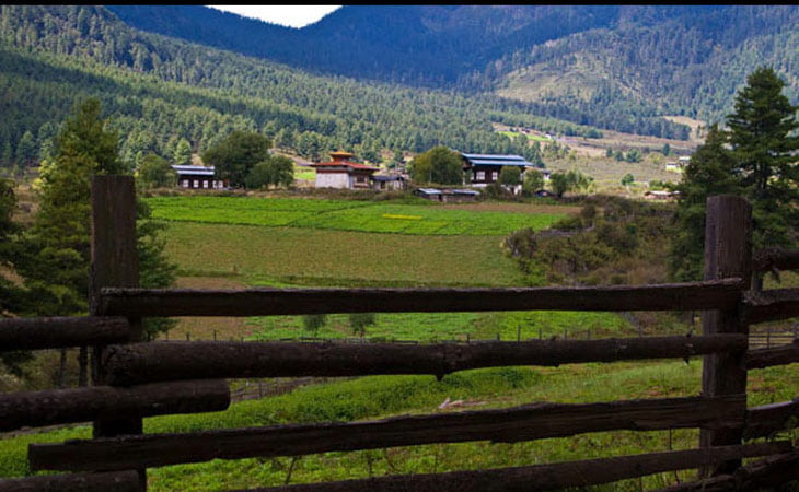 Phobjika Valley Tour