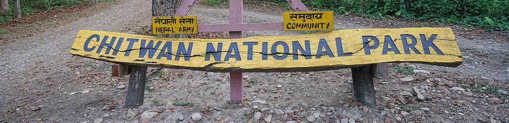 Jungle Safari Halt in Chitwan National Park