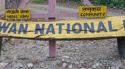 Jungle Safari Halt in Chitwan National Park