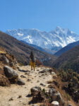 pangboche-to-dingboche
