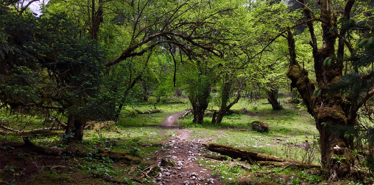 Chisapani to Lapsiphedi Hike